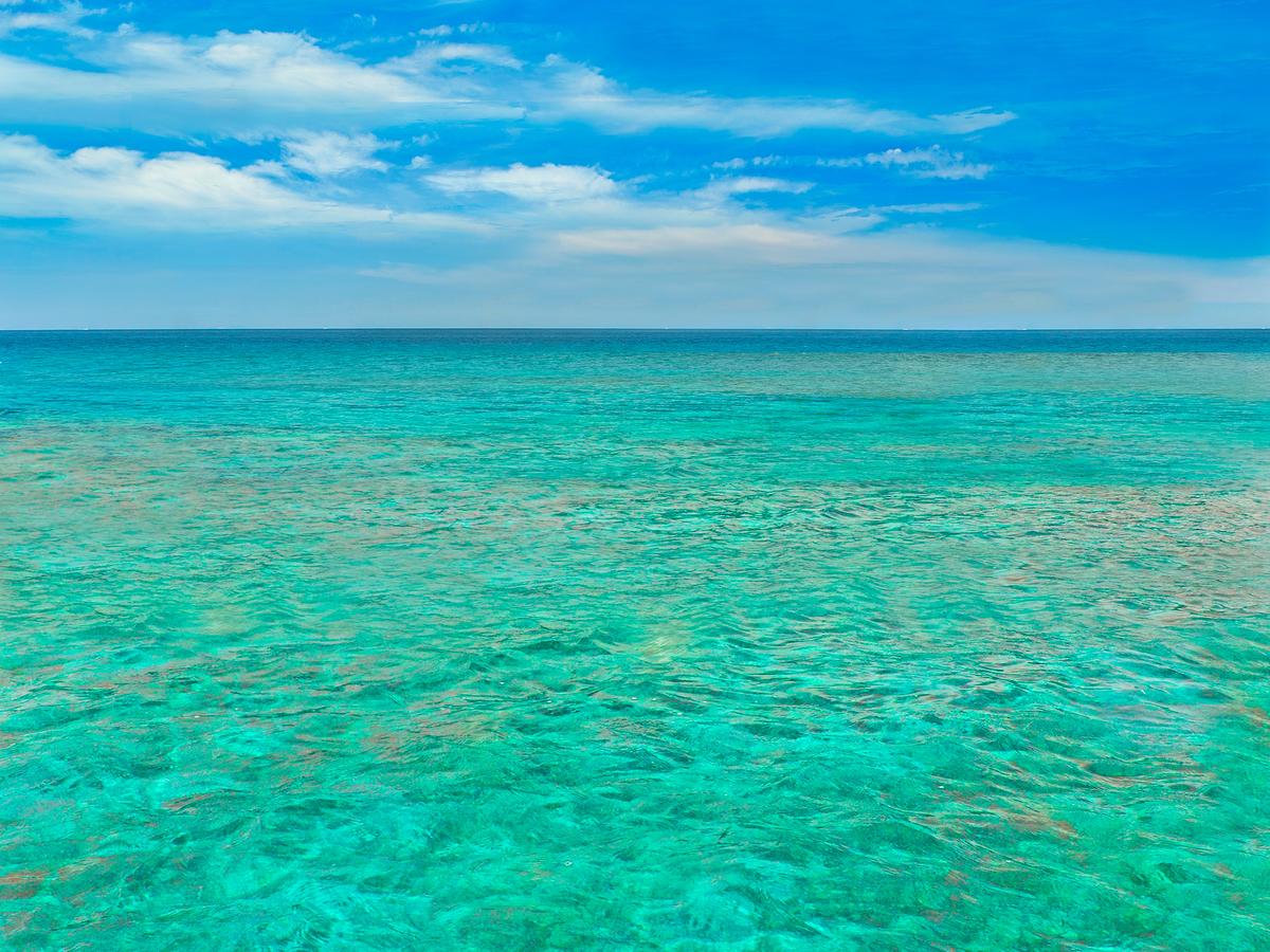 Oceans Edge Key West - thumb 5
