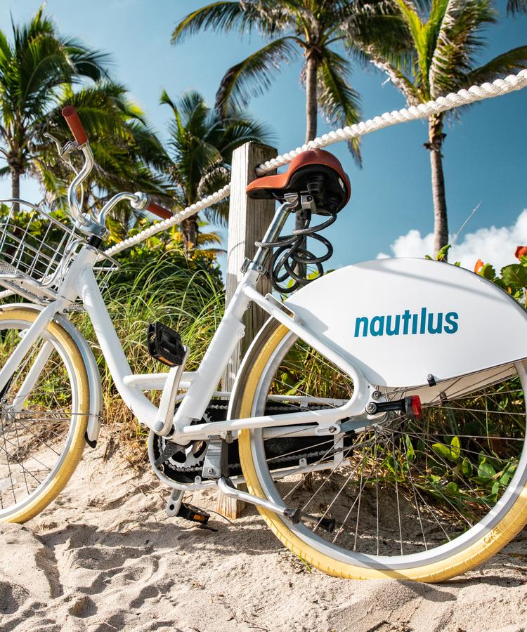 Nautilus By Arlo - thumb 25