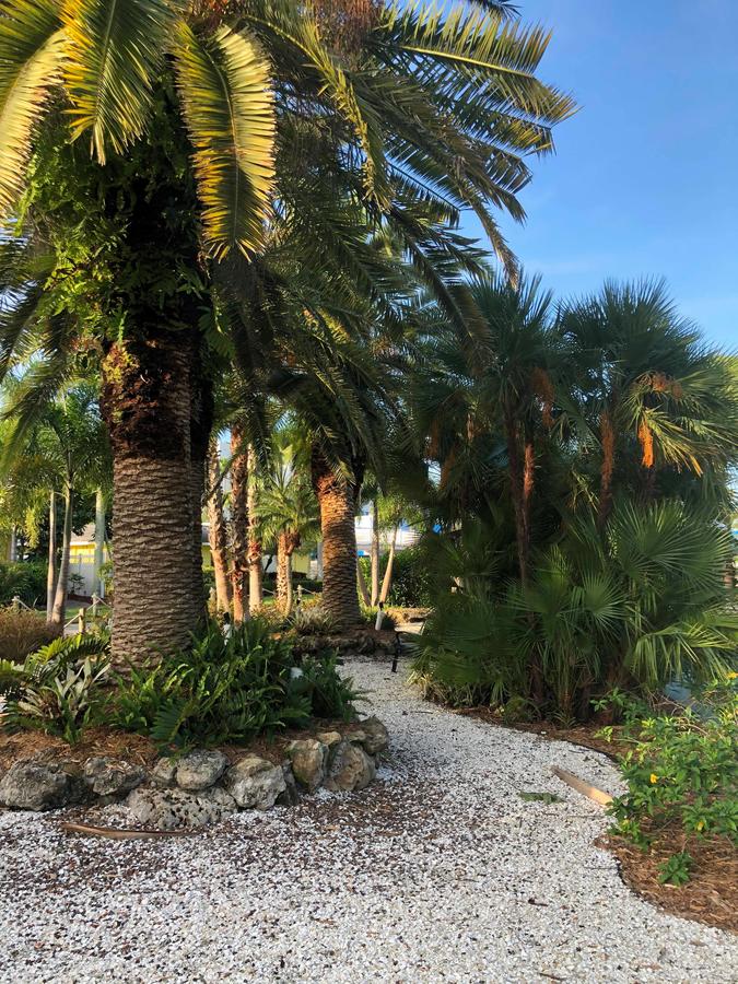 Captiva Beach Resort - thumb 10