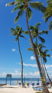 Howey In Hls Fl Accommodation Texas