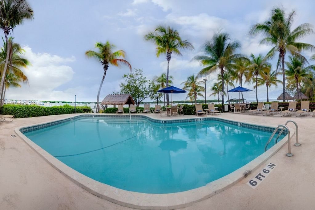 Coconut Palm Inn - thumb 7