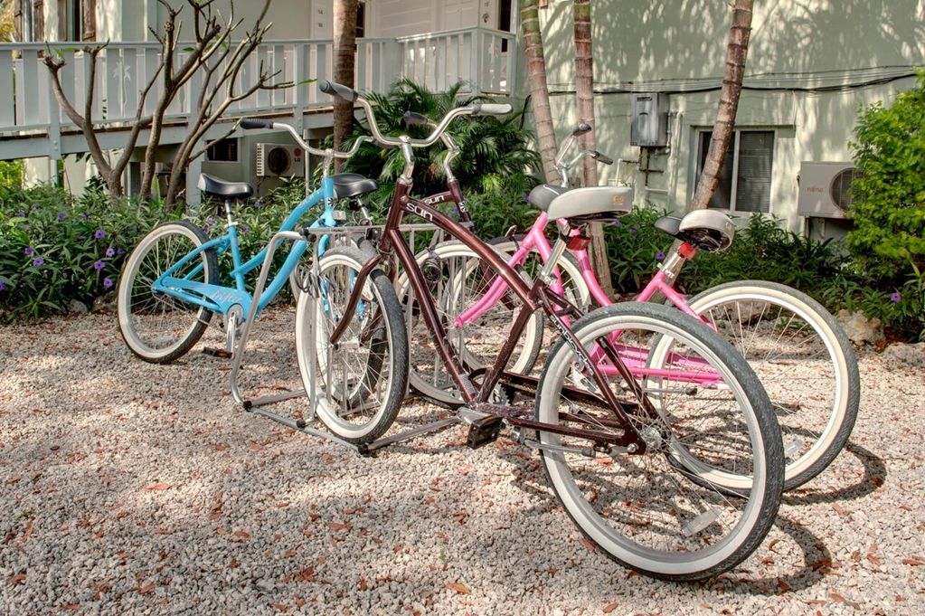 Coconut Palm Inn - thumb 12