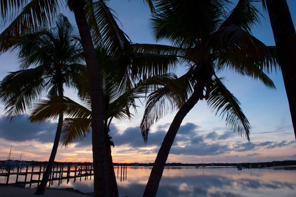 Coconut Palm Inn - thumb 15