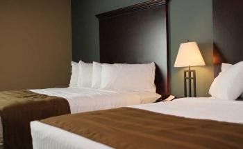 The Watford - thumb 3