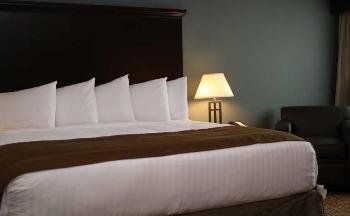 The Watford - thumb 6