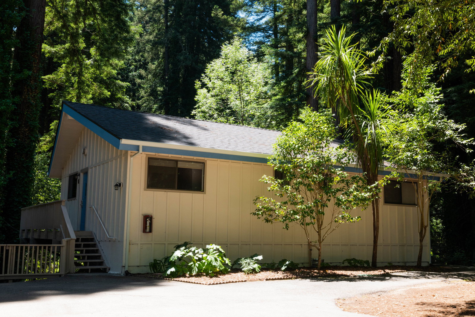 Casa Secoya - thumb 1