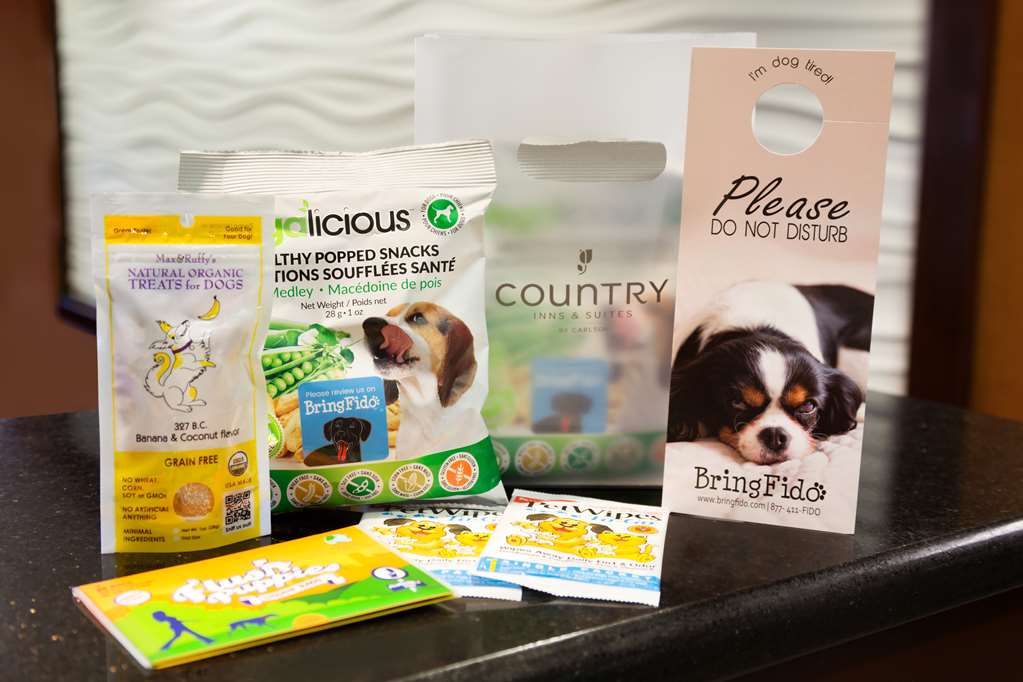 Country Inn & Suites Wolfchase-Memphis - thumb 20