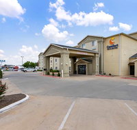 Comfort Inn  Suites - Accommodation Texas