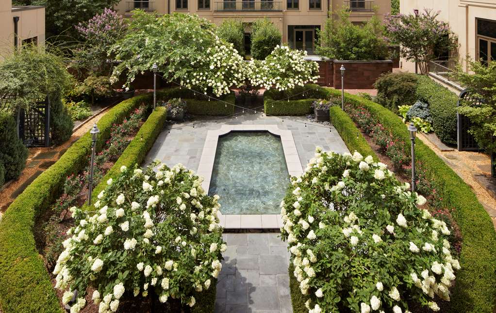 Waldorf Astoria Atlanta Buckhead - thumb 6