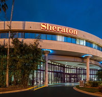 Sheraton Tampa Brandon Hotel - Accommodation Texas