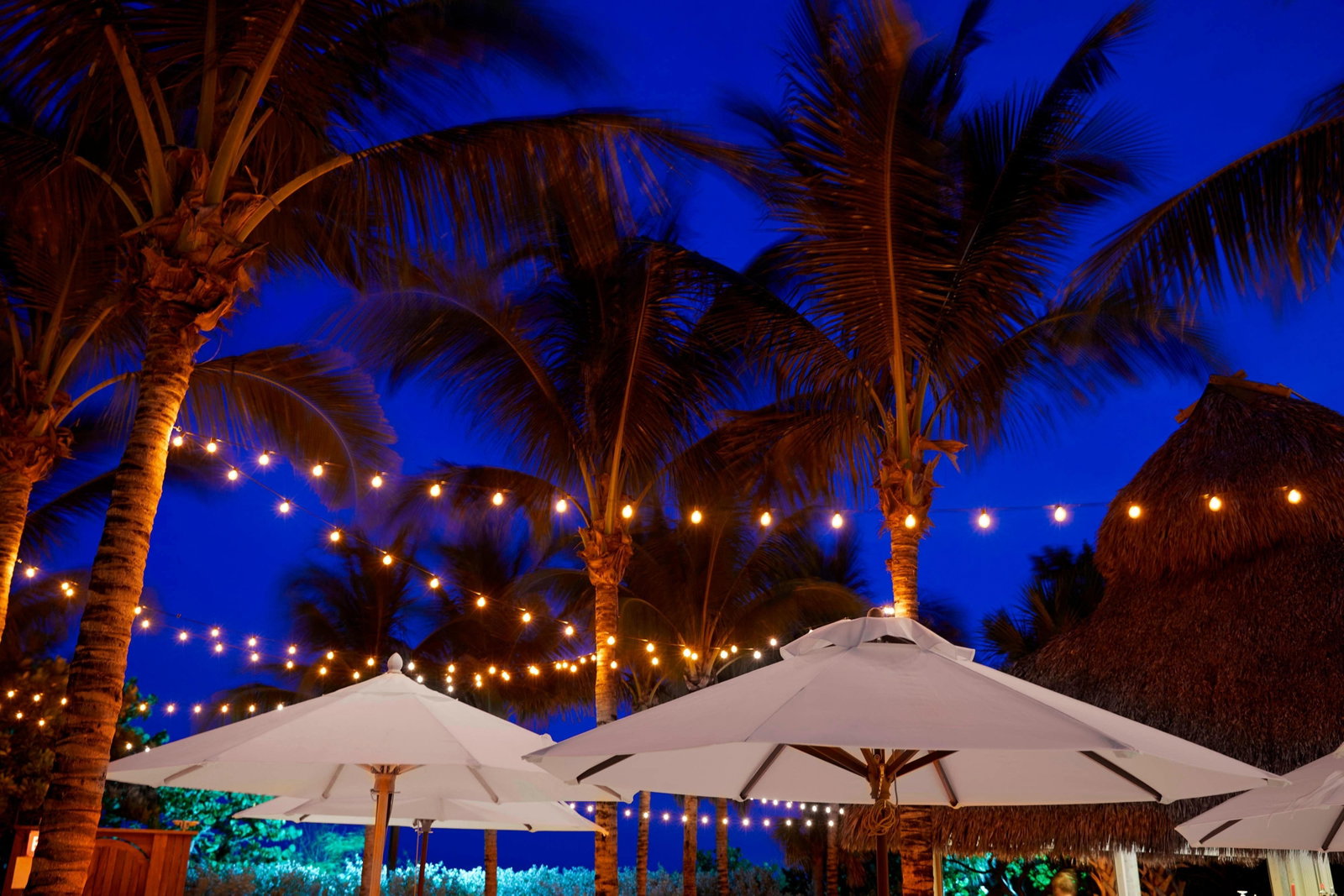 Cadillac Hotel-Beach Club, Autograph Col - thumb 10