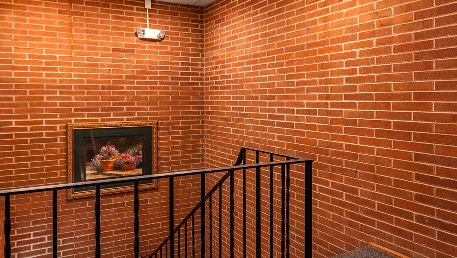 M Star North Canton - thumb 8