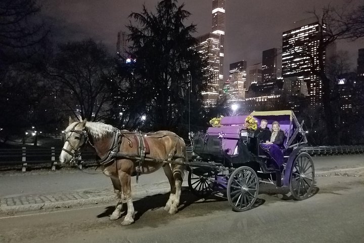20 Minutes Central Park Tour - thumb 1