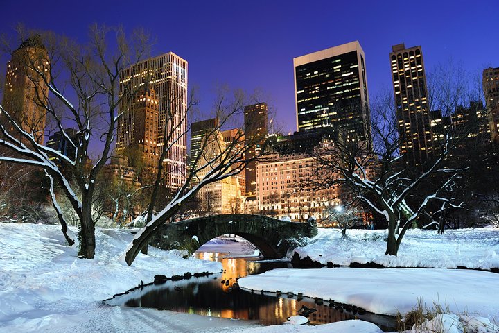 20 Minutes Central Park Tour - thumb 4