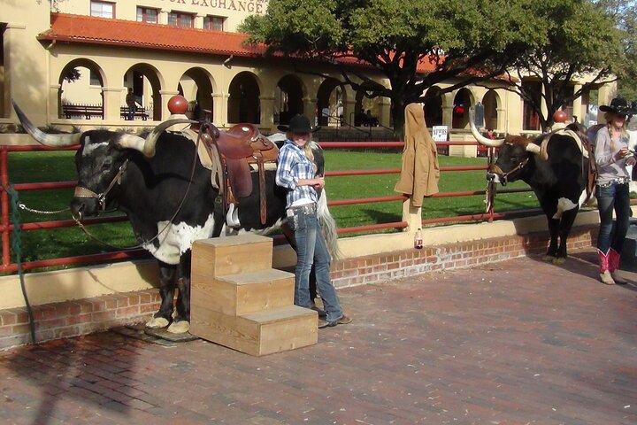 6-Hour Guided Best Of Fort Worth Historical Tour - thumb 0