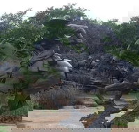 Create Your Own Dallas and Fort Worth Combination Tour - Accommodation Texas