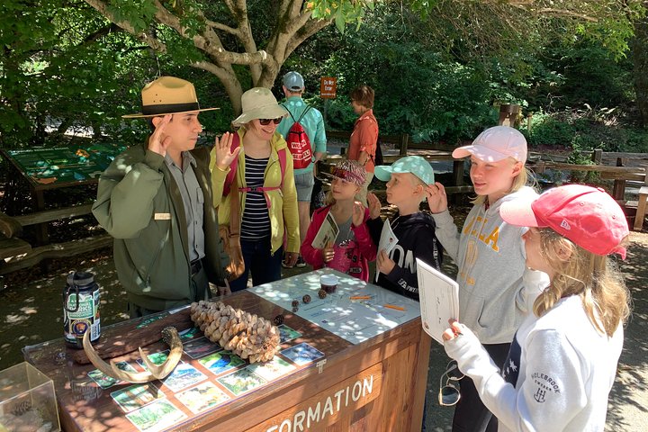 Alcatraz With Muir Woods And Sausalito Tour - thumb 0