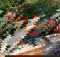 Alcatraz with Muir Woods and Sausalito Tour - Accommodation Texas