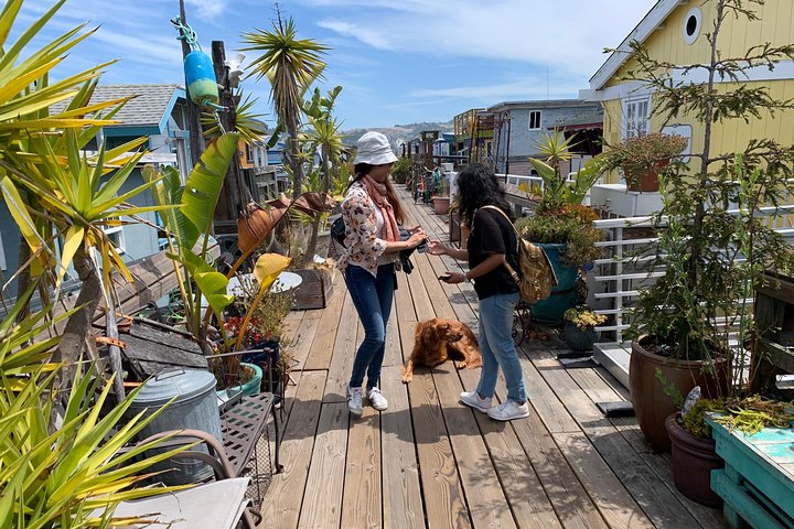 Alcatraz With Muir Woods And Sausalito Tour - thumb 2