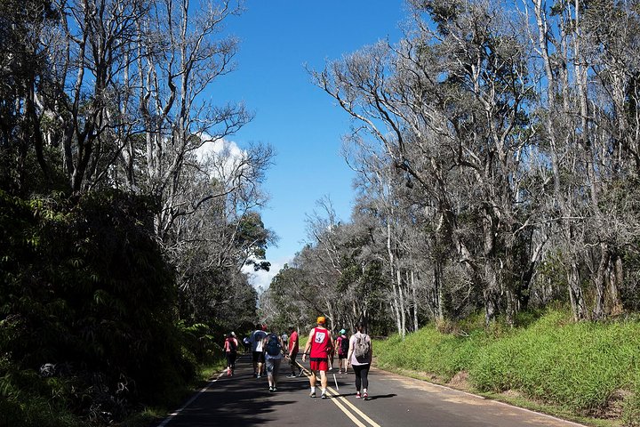 Volcanoes National Park Tour - thumb 4