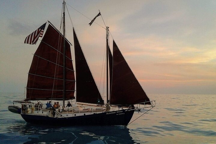 Harbor Sail On Summer Wind - thumb 1