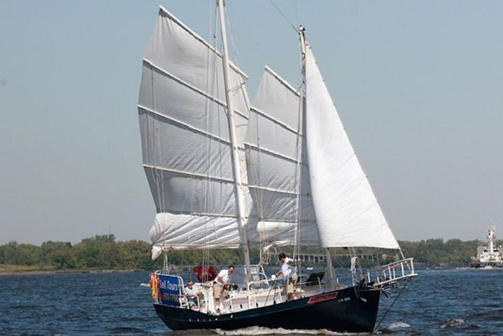 Harbor Sail On Summer Wind - thumb 4