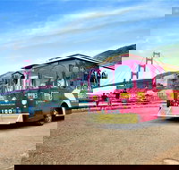 Big Bus San Francisco Hop-On-Hop-Off Open Top Tour and Alcatraz Combo - Accommodation Texas