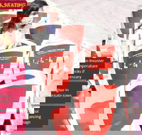 Big Bus Chicago Hop-On Hop-Off Tour - Accommodation Texas