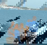 Chicago City Minibus Tour with Optional Architecture River Cruise - Accommodation Texas