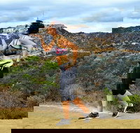 Griffith Observatory Hike Hollywood Hills Walk in Griffith Park - Accommodation Texas