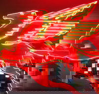 JFK Food and Culture Tour in Dallas - Accommodation Texas