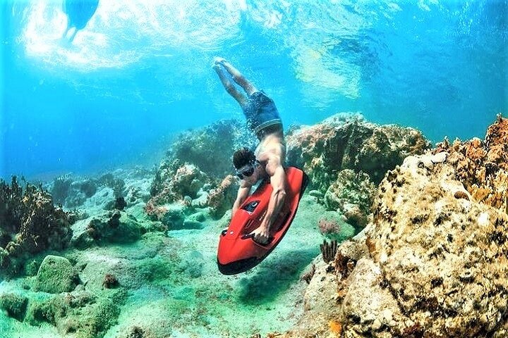 90-Minute Snorkel & Seabob Underwater Guided Reef Tour In Fort Lauderdale - thumb 5