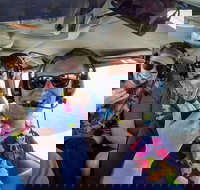 Maui Circle Island -Private- Air Tour Maui's Magical  Hidden Beauty Revealed - Accommodation Texas