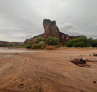 3-hour Private Tour - Accommodation Texas