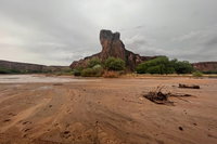 Central Az Accommodation Texas