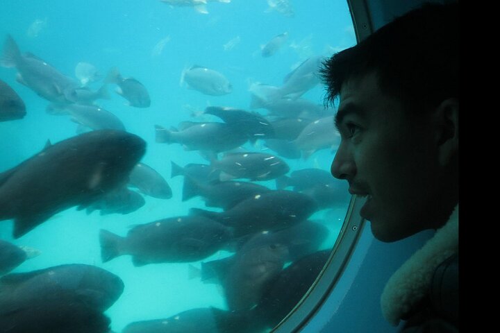 45 Minute Semi-Submarine Tour Of Catalina Island From Avalon - thumb 0