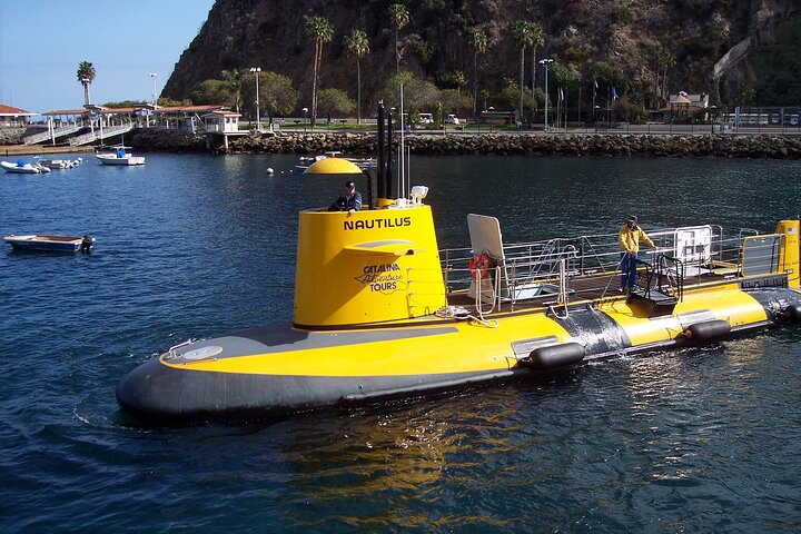 45 Minute Semi-Submarine Tour Of Catalina Island From Avalon - thumb 1
