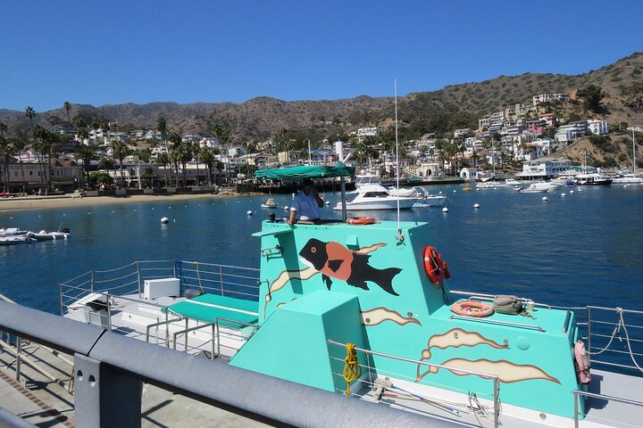 45 Minute Semi-Submarine Tour Of Catalina Island From Avalon - thumb 2