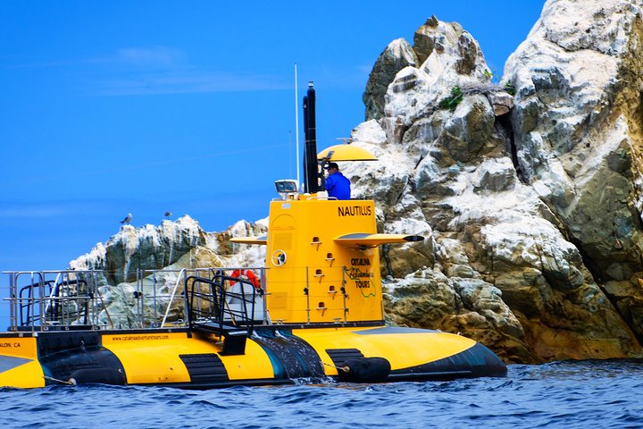 45 Minute Semi-Submarine Tour Of Catalina Island From Avalon - thumb 3