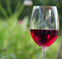 Amador County Wine Tasting Tours Chevrolet Suburban Private Tour - Accommodation Texas