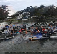 Clear Kayak Tour of Crystal River - Accommodation Texas