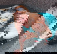 Fun City Scavenger Hunt in Hartford by Zombie Scavengers - Accommodation Texas