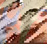 Explore Hartford with a Unique Scavenger Hunt by Crazy Dash - Accommodation Texas