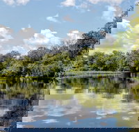 Guided Manatee Kayaking Tours through Blue Spring State Park - Accommodation Texas