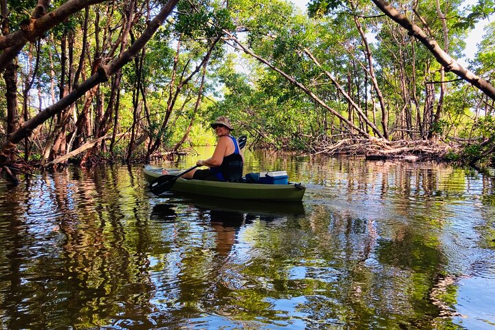 Mangrove Tunnels Eco Tour (Kayak & Paddle Board) - thumb 1