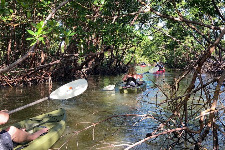 Mangrove Tunnels Eco Tour (Kayak & Paddle Board) - thumb 2