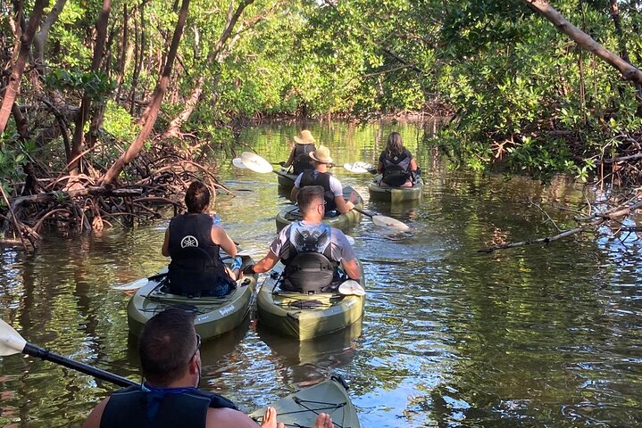 Mangrove Tunnels Eco Tour (Kayak & Paddle Board) - thumb 3