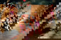 Daytona Beach Fl Accommodation Texas