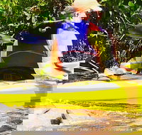 Orlando Manatee Encounters - Accommodation Texas