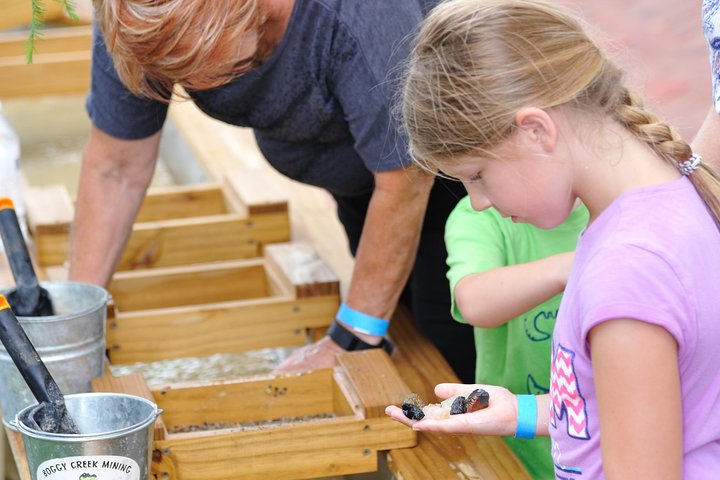 VIP Private Airboat Tour - thumb 5